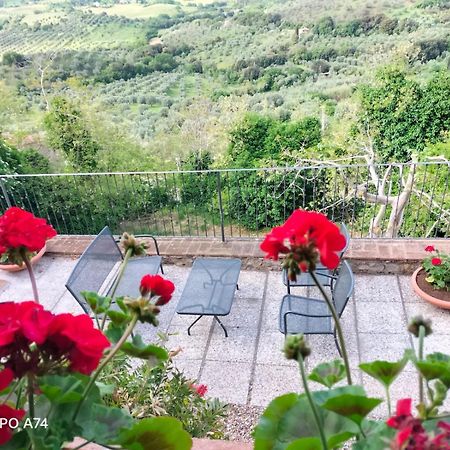 Tenuta Di Montemassi Fattoria Luaran gambar