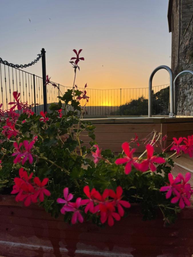 Tenuta Di Montemassi Fattoria Luaran gambar