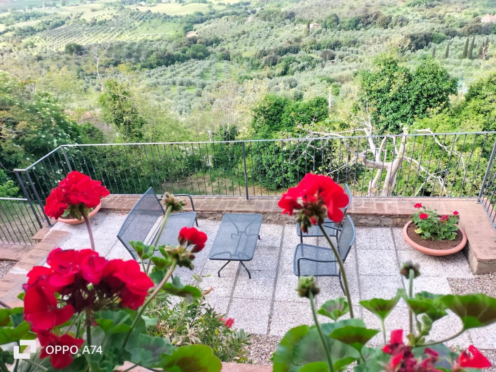 Tenuta Di Montemassi Fattoria Luaran gambar
